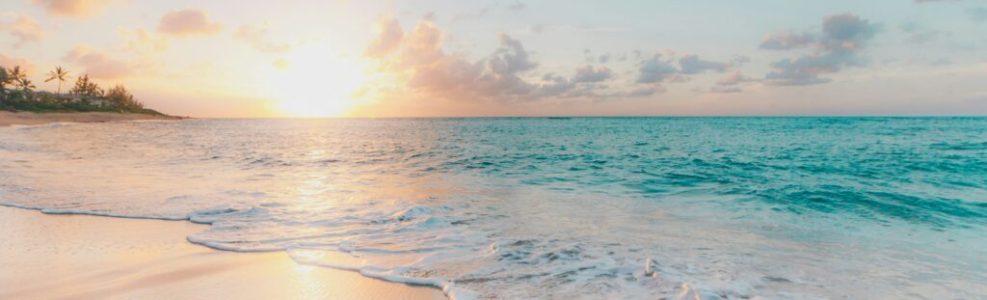 sean-oulashin-KMn4VEeEPR8-unsplash (2)